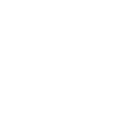 music-alt