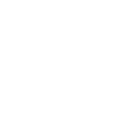star (16)